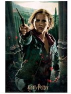 PRIME 3D Harry Potter: Hermione - Jigsaw