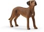 Schleich Zvířátko - pes ridgback rhodéský 13895 - Figurka