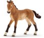 Schleich 13804 Animal - Foal Walking Tenesské - Figure