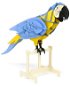 Scarlet Macaw PT2001-62 - Paper Model