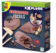 SES Fossil Excavations - Experiment Kit