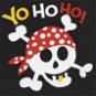 Obrúsky – pirát – pirate fun – 33 × 33 cm – 16 ks - Papierové obrúsky