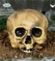 Party Accessories Plastic skull decoration - halloween - Party doplňky