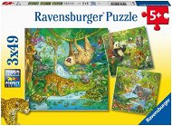 Ravensburger 051809 Zvieratá v džungli 3× 49 dielikov - Puzzle