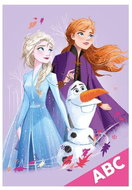 ABC MFP Disney (Frozen) - School Folder