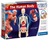 Emberi test - Kísérletezős játék