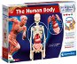 Human Body (Pl+Hu+Cz+Sk) - Experiment Kit