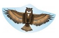 Günther - Owl 122x68cm - Kite