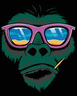 Painting by Numbers - Monkey and Sunglasses, 40x50 cm, stretched canvas on frame - Painting by Numbers