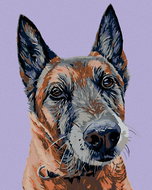 Painting by Numbers - Old Wolfman, 80x100 cm, without frame and without turning off the canvas - Painting by Numbers