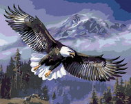 Painting by numbers - Flying Eagle, 50x40 cm, without frame and without switching off the canvas - Painting by Numbers