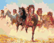 Painting by Numbers - Herd of Horses, 100x80 cm, stretched canvas on frame - Painting by Numbers