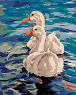Painting by Numbers - Two Ducks on Water, 80x100 cm, stretched canvas on frame - Painting by Numbers