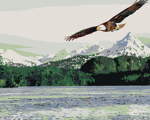 Painting by Numbers - Sea Eagle, 50x40 cm, without frame and without canvas switching off - Painting by Numbers - Main image