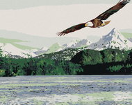 Painting by Numbers - Sea Eagle, 100x80 cm, without frame and without canvas switching off - Painting by Numbers