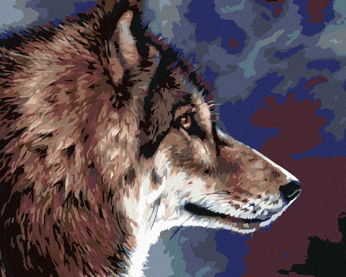 Painting by Numbers - Head of a Wolf, 50x40 cm, stretched canvas on frame - Painting by Numbers - Main image