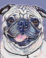 Painting by Numbers - Pug, 80x100 cm, without frame and without turning off the canvas - Painting by Numbers