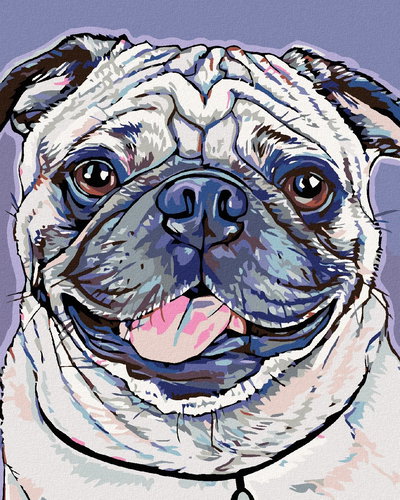 Painting by Numbers - Pug, 80x100 cm, stretched canvas on frame - Painting by Numbers - Main image