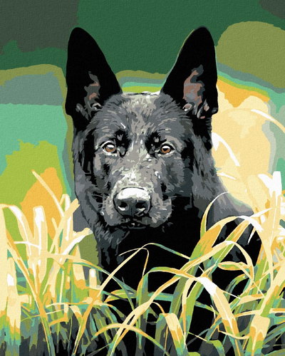 Painting by Numbers - German Shepherd Dog in Grass, 40x50 cm, without frame and without canvas switc - Painting by Numbers - Main image