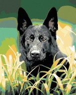 Painting by Numbers - German Shepherd Dog in Grass, 80x100 cm, without frame and without canvas swit - Painting by Numbers