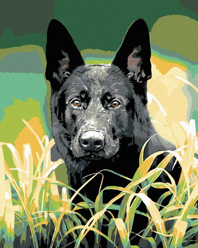 Painting by Numbers - German Shepherd Dog in Grass, 80x100 cm, stretched canvas on frame - Painting by Numbers - Main image