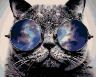 Painting by numbers - Cat in glasses, 100x80 cm, without frame and without switching off the canvas - Painting by Numbers