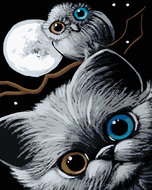 Painting by Numbers - Cat, Owl and Moon, 40x50 cm, stretched canvas on frame - Painting by Numbers