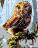 Painting by Numbers - Owl, 40x50 cm, without frame and without turning off the canvas - Painting by Numbers