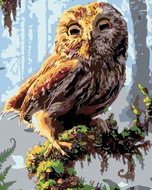 Painting by Numbers - Owl, 80x100 cm, canvas on frame - Painting by Numbers