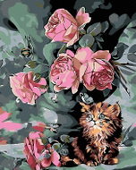 Painting by Numbers - Little Kitten Among Flowers, 80x100 cm, stretched canvas on frame - Painting by Numbers