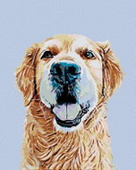 Painting by Numbers - Golden Retriever, 80x100 cm, without frame and without canvas switching off - Painting by Numbers