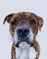 Painting by numbers - Dog's view, 40x50 cm, without frame and without switching off the canvas - Painting by Numbers