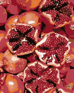 Painting by Numbers - Pomegranate, 80x100 cm, without frame and without canvas switching off - Painting by Numbers