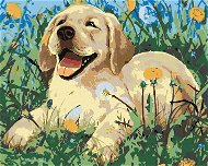 Painting by numbers - Puppy among dandelions, 50x40 cm, without frame and without turning off the ca - Painting by Numbers