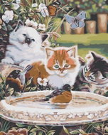 Painting by numbers - Kittens and birds, 40x50 cm, without frame and without switching off the canva - Painting by Numbers