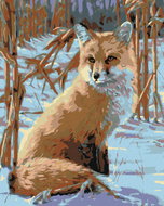 Painting by Numbers - Looking Fox, 80x100 cm, without frame and without turning off the canvas - Painting by Numbers