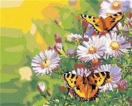Maľovanie podľa čísel - Motýle na margarétach, 50 x 40 cm, napnuté plátno na ráme - Maľovanie podľa čísel