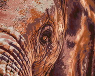 Painting by Numbers - Elephant View, 100x80 cm, stretched canvas on frame - Painting by Numbers