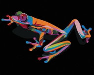 Painting by Numbers - Colored Frog, 50x40 cm, without frame and without switching off the canvas - Painting by Numbers
