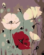 Painting by Numbers - White poppies with one red poppy, 40x50 cm, without frame and without canvas s - Painting by Numbers