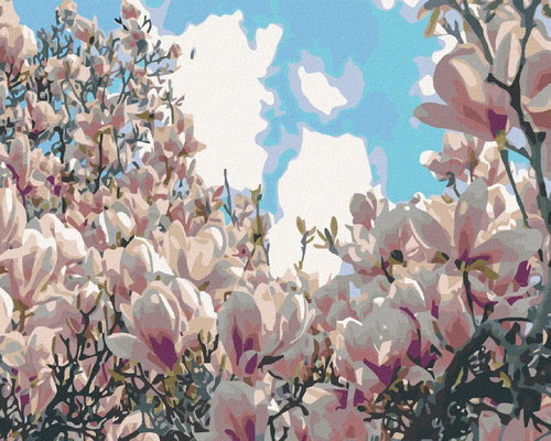 Painting by Numbers - Blooming Magnolias, 100x80 cm, without frame and without switching off the can - Painting by Numbers - Main image