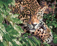Painting by Numbers - Cheetah, 50x40 cm, without frame and without canvas switching off - Painting by Numbers