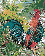 Painting by numbers - Rooster in the grass, 80x100 cm, without frame and without switching off the c - Painting by Numbers