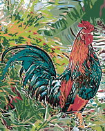 Painting by Numbers - Rooster in the Grass, 80x100 cm, stretched canvas on frame - Painting by Numbers