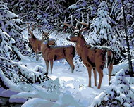 Painting by numbers - Deer with ropes in winter, 50x40 cm, stretched canvas on frame - Painting by Numbers