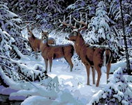 Painting by Numbers - Deer with Ropes in Winter, 100x80 cm, without frame and without switching off  - Painting by Numbers