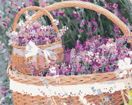 Painting by Numbers - Lavender Basket, 50x40 cm, without frame and without canvas switching off - Painting by Numbers