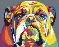 Painting by Numbers - Bulldog II, 50x40 cm, off canvas on frame - Painting by Numbers