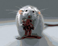 Painting by Numbers - White Mouse with Bear, 100x80 cm, without frame and without turning off the ca - Painting by Numbers