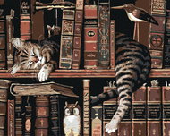 Painting by numbers - Cat in the library, 50x40 cm, without frame and without switching off the canv - Painting by Numbers